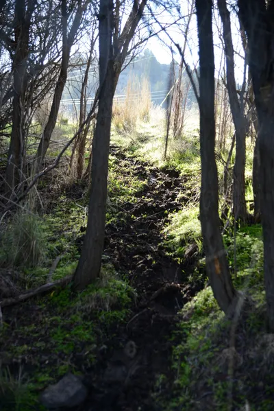 DSC_1079 (Large).JPG